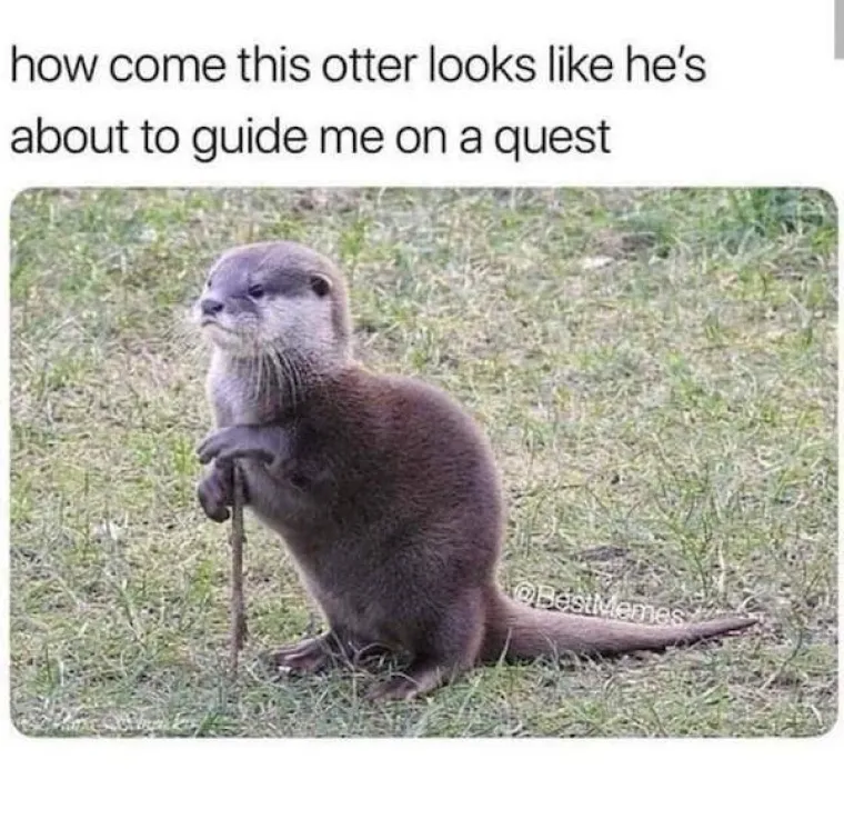 ONI MOGU BAREM MALO OLAK&Scaron;ATI DAN: I u ovo vrijeme nastavljaju s nepodop&scaron;tinama, a &scaron;to bi drugo i radili