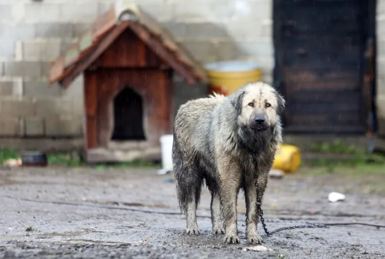 Ima li kraja nevoljama? Nakon potresa Majskim Poljanama zbog dugotrajne ki&scaron;e prijete poplave