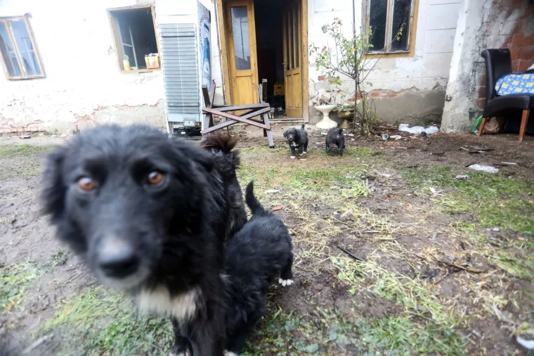 Ima li kraja nevoljama? Nakon potresa Majskim Poljanama zbog dugotrajne ki&scaron;e prijete poplave