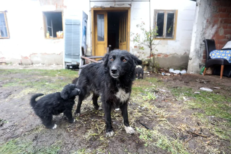 Ima li kraja nevoljama? Nakon potresa Majskim Poljanama zbog dugotrajne ki&scaron;e prijete poplave