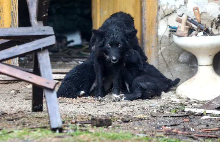 Ima li kraja nevoljama? Nakon potresa Majskim Poljanama zbog dugotrajne ki&scaron;e prijete poplave