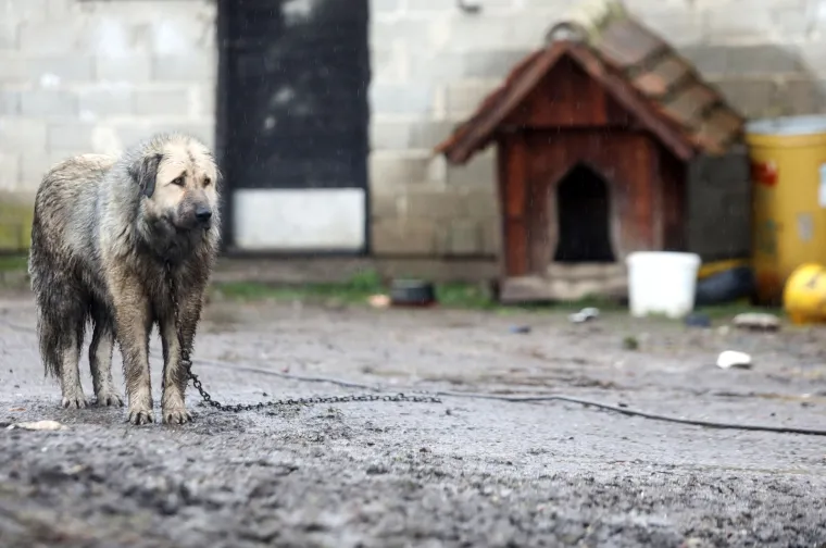Ima li kraja nevoljama? Nakon potresa Majskim Poljanama zbog dugotrajne ki&scaron;e prijete poplave