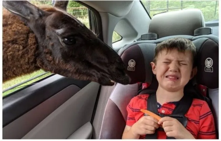 KAD IMAŠ DJECU NE POSTOJE DOSADNI DANI: Roditelji urnebesnim fotografijama otkrili s čime se svakodnevno susreću