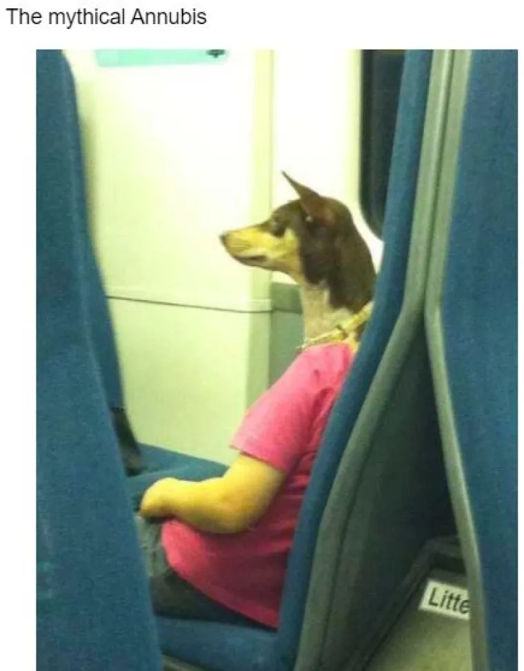 Fotke koje mogu izazvati pomutnju: U njih se treba dobro zagledati!