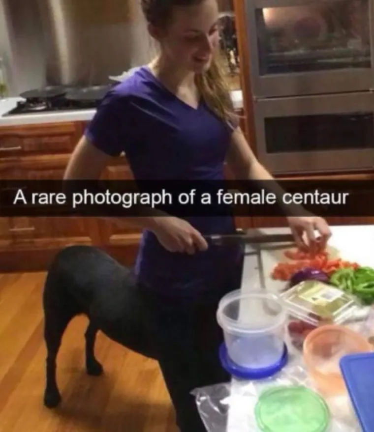 Fotke koje mogu izazvati pomutnju: U njih se treba dobro zagledati!