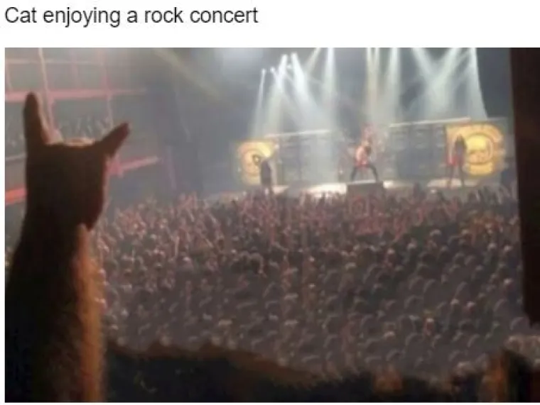 Fotke koje mogu izazvati pomutnju: U njih se treba dobro zagledati!