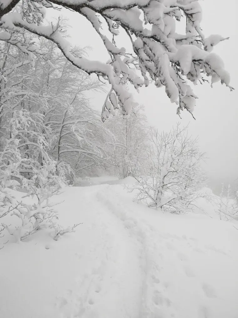 Oprez ako idete u planine! &Scaron;estorica planinara izgubila se u snježnoj mećavi