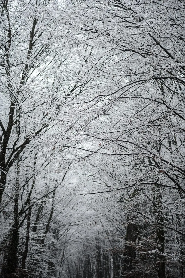 KAO IZ BAJKE: Pogledajte fascinantne prizore snijegom prekrivenog zagrebačkog Maksimira