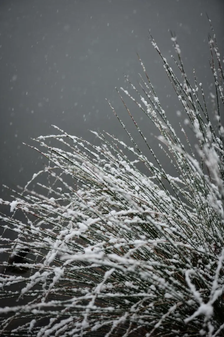 KAO IZ BAJKE: Pogledajte fascinantne prizore snijegom prekrivenog zagrebačkog Maksimira