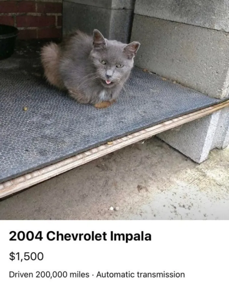 OVE BAKE I DJEDOVI NA FEJSU DNEVNA SU DOZA HUMORA KOJI NAM TREBA: Ali stvarno, da ih nema, trebalo bi ih izmisliti