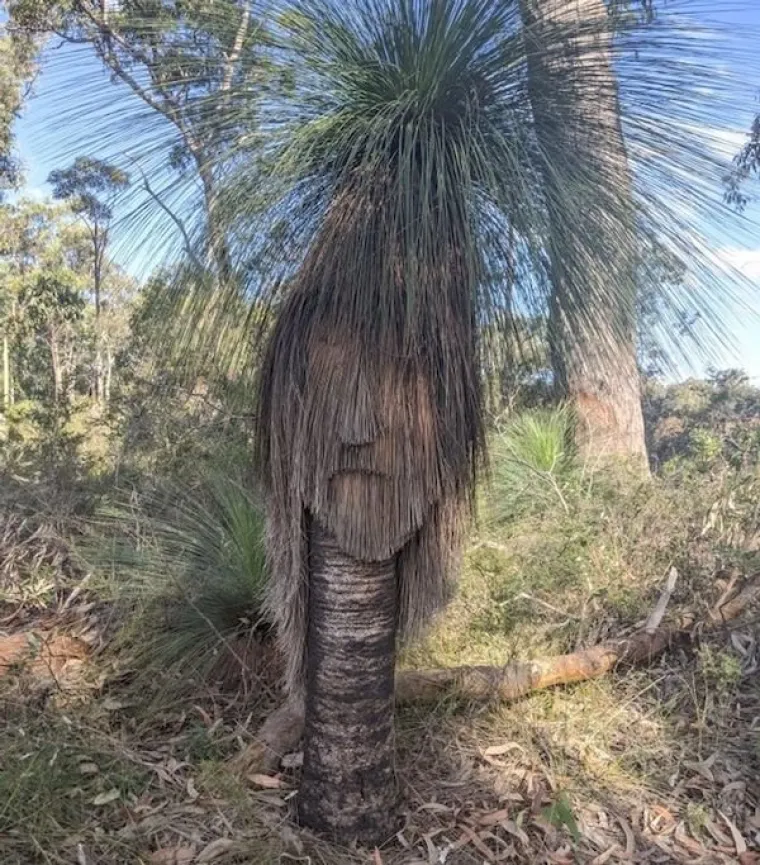 NAIZGLED OBIČNE SLIKE SKRIVAJU SASVIM DRUGO ZNAČENJE: Koje su &scaron;anse da se ovo dogodi?