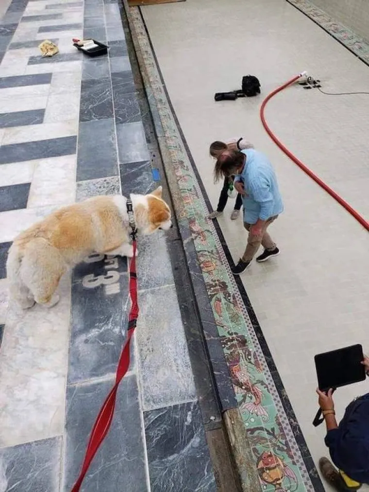 NAIZGLED OBIČNE SLIKE SKRIVAJU SASVIM DRUGO ZNAČENJE: Koje su &scaron;anse da se ovo dogodi?
