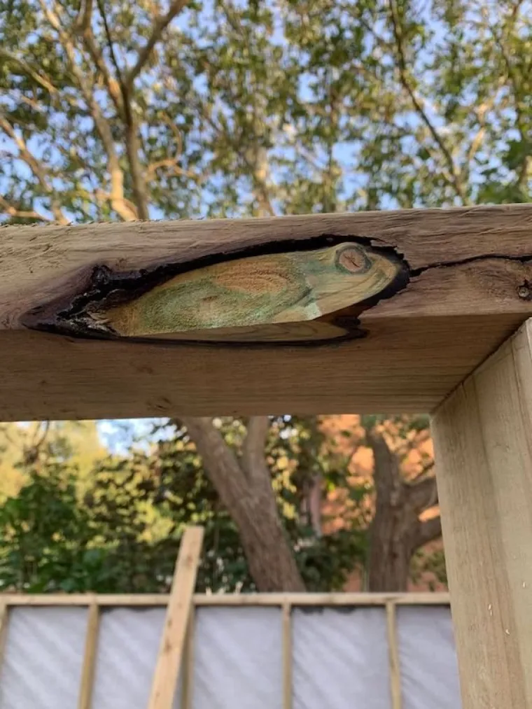 NAIZGLED OBIČNE SLIKE SKRIVAJU SASVIM DRUGO ZNAČENJE: Koje su &scaron;anse da se ovo dogodi?