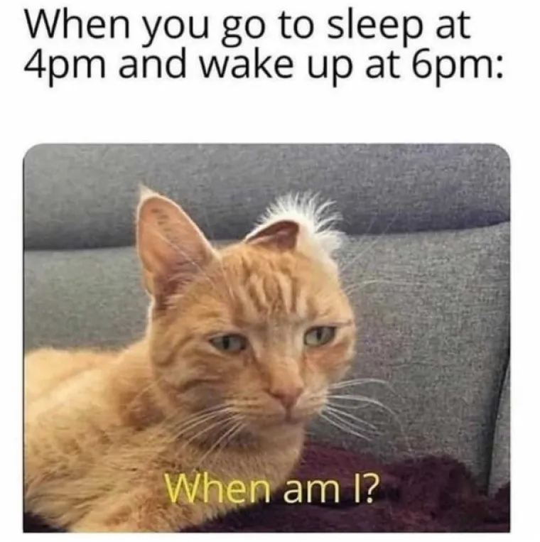 DOBRODO&Scaron;LI U ODRASLI ŽIVOT, NI&Scaron;TA NIJE ISPALO ONAKO KAKO STE HTJELI: Niste jedini, ove fotke su dokaz da svi znaju točno kroz &scaron;to prolazite