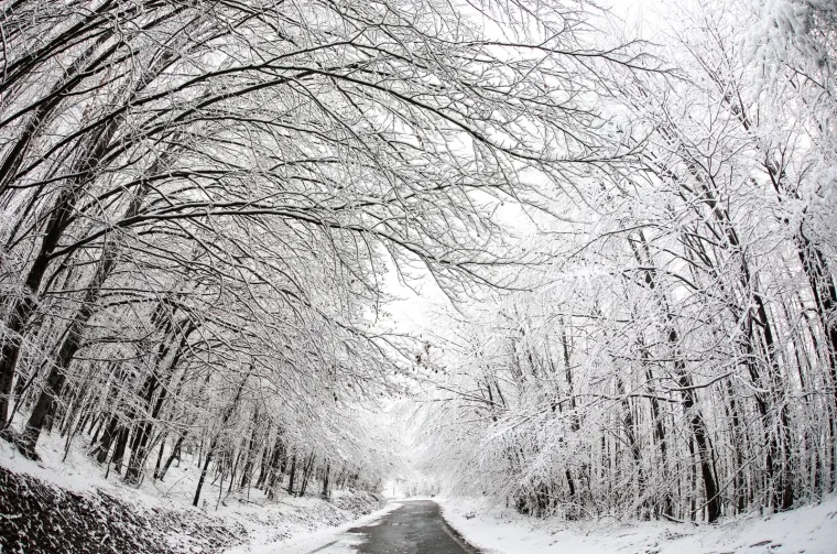 Snježna čarolija na Medvednici! Prekrasni prizori sa zagrebačke gore