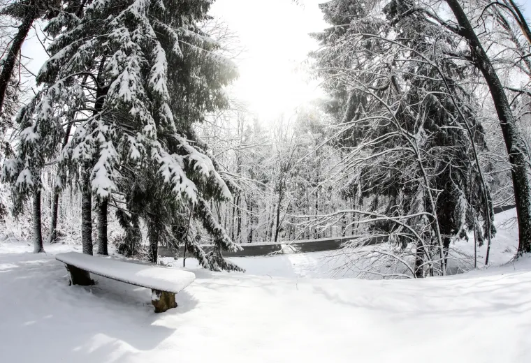 Snježna čarolija na Medvednici! Prekrasni prizori sa zagrebačke gore