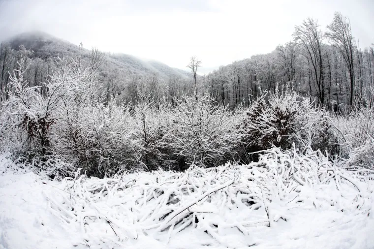 Snježna čarolija na Medvednici! Prekrasni prizori sa zagrebačke gore