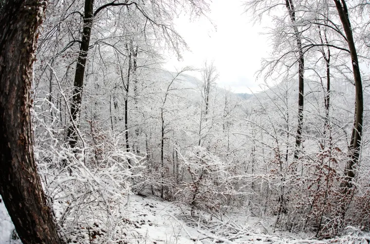 Snježna čarolija na Medvednici! Prekrasni prizori sa zagrebačke gore