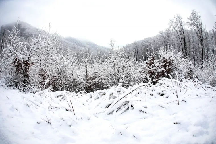 Snježna čarolija na Medvednici! Prekrasni prizori sa zagrebačke gore