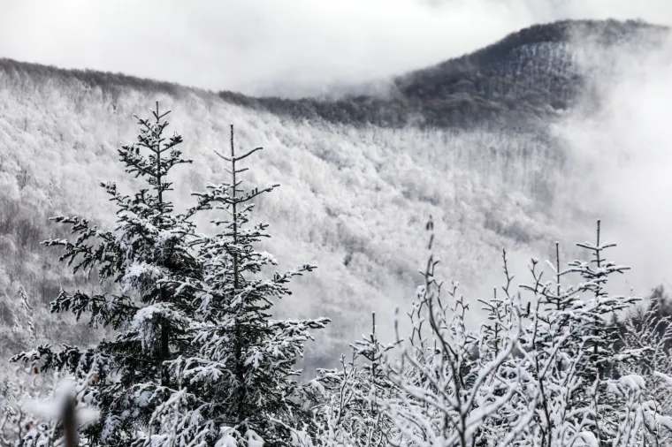 Snježna idila u Hrvatskoj! Snijeg pada od zadarskog zaleđa do Medvednice