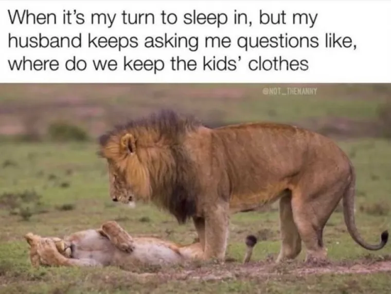 URNEBESNE CURE ODU&Scaron;EVILE MEMOVIMA: Internet plače, a kako i ne bi kad im je glavni motiv ismijavanja - njihova 'bolja polovica'