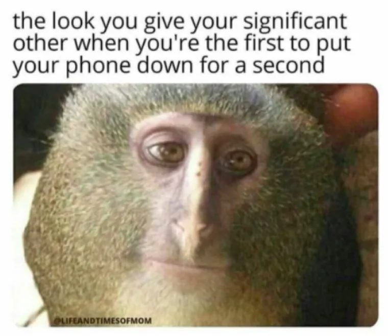 URNEBESNE CURE ODU&Scaron;EVILE MEMOVIMA: Internet plače, a kako i ne bi kad im je glavni motiv ismijavanja - njihova 'bolja polovica'