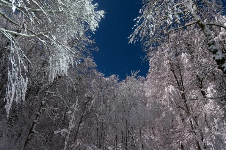 Kao iz bajke: Morate pogledati veličanstvenu ljepotu Plitvičkih jezera usred zime