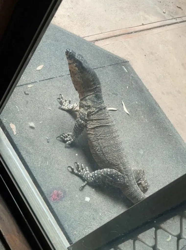 KORONU DRŽE POD KONTROLOM, ALI IH SVE OSTALO POKU&Scaron;AVA UBITI: Australska svakodnevica je malo drugačija od one na koju ste navikli