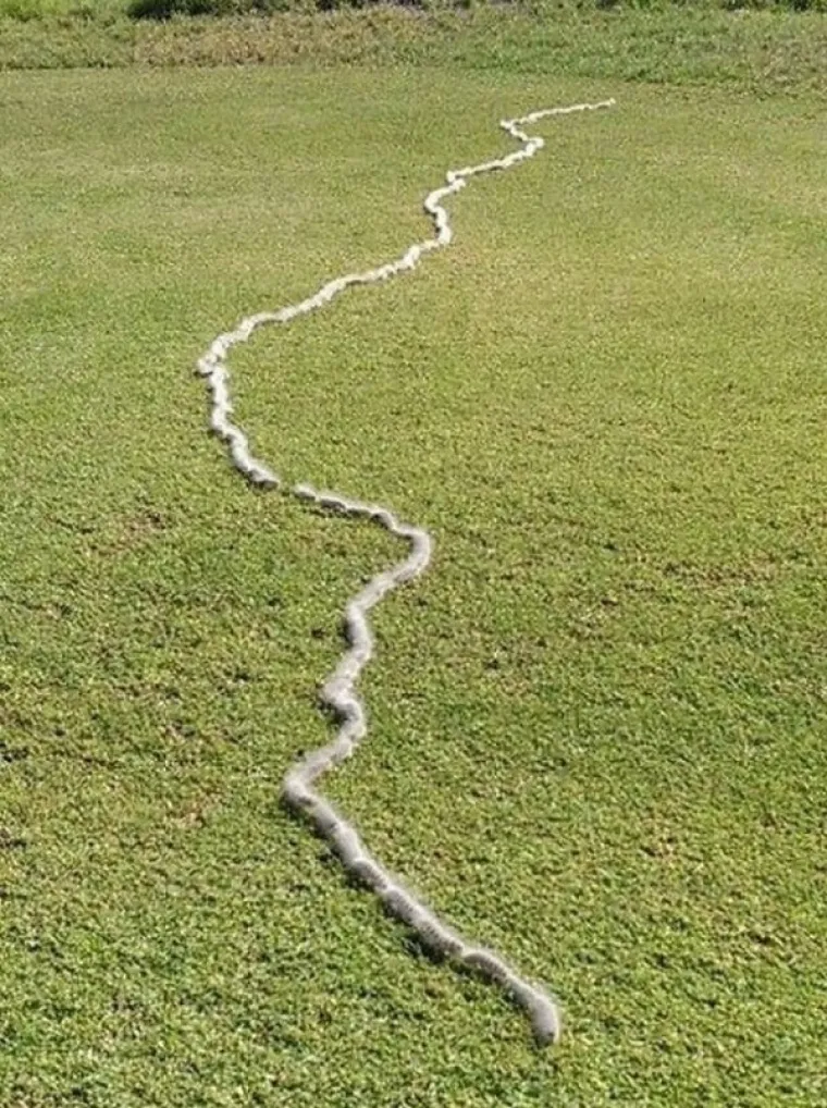 KORONU DRŽE POD KONTROLOM, ALI IH SVE OSTALO POKU&Scaron;AVA UBITI: Australska svakodnevica je malo drugačija od one na koju ste navikli