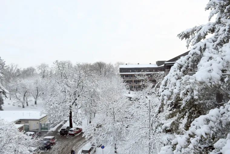 Bijeli prekrivač: Snijeg je diljem zemlje stvorio prekrasne prizore