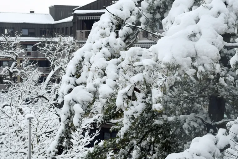 Bijeli prekrivač: Snijeg je diljem zemlje stvorio prekrasne prizore