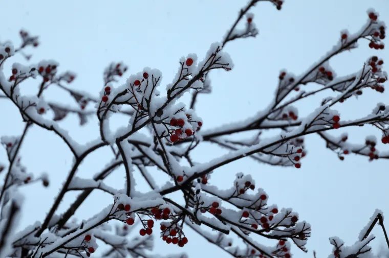 Bijeli prekrivač: Snijeg je diljem zemlje stvorio prekrasne prizore