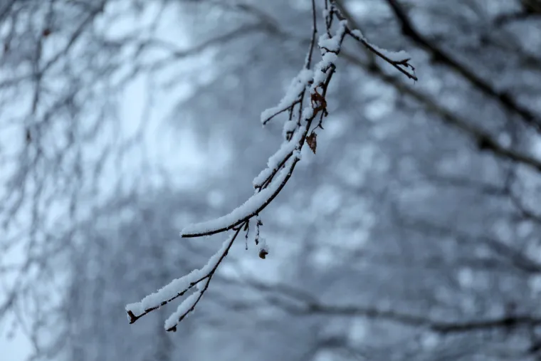 Bijeli prekrivač: Snijeg je diljem zemlje stvorio prekrasne prizore