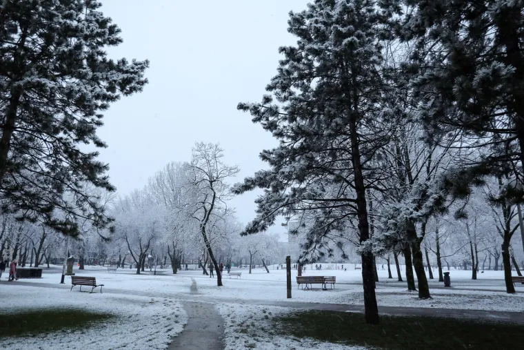 Bijeli prekrivač: Snijeg je diljem zemlje stvorio prekrasne prizore
