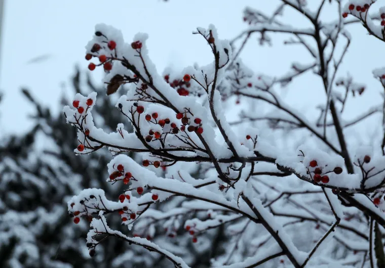 Bijeli prekrivač: Snijeg je diljem zemlje stvorio prekrasne prizore