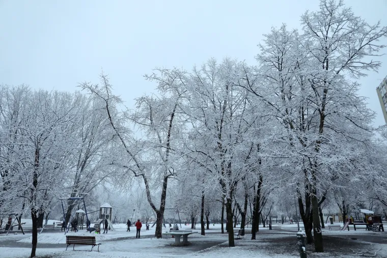 Bijeli prekrivač: Snijeg je diljem zemlje stvorio prekrasne prizore
