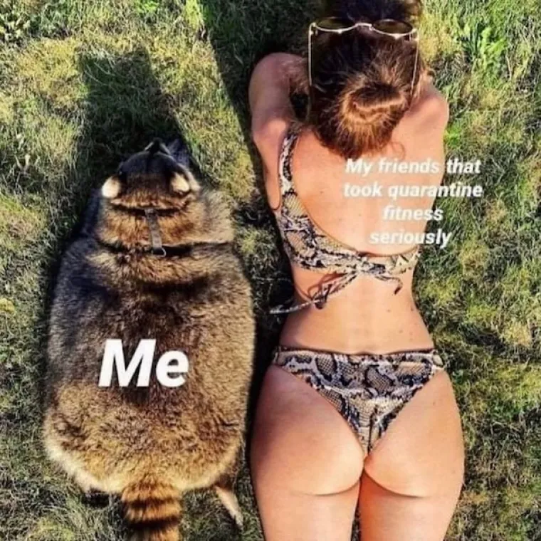 SJEĆATE SE TERETANA? Pločice i mi&scaron;ići mnogima su samo slatka uspomena, neka vas ovi memovi vrate u neka znojnija vremena