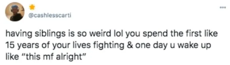 AKO VAS OVO NE NASMIJE, ONDA STVARNO NE ZNAMO &Scaron;TO ĆE: Možda je ovo razdoblje jako depresivno, ali memovi ubijaju