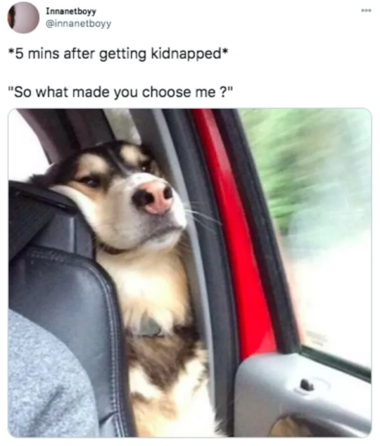 AKO VAS OVO NE NASMIJE, ONDA STVARNO NE ZNAMO &Scaron;TO ĆE: Možda je ovo razdoblje jako depresivno, ali memovi ubijaju