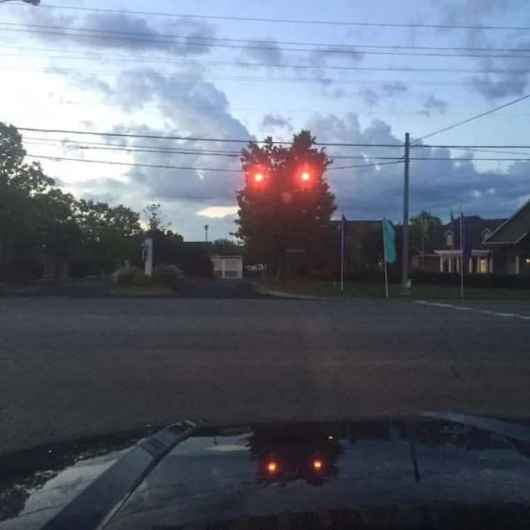 Dobro se zagledajte u ove fotke i pustite ma&scaron;ti na volju, nećete se razočarati