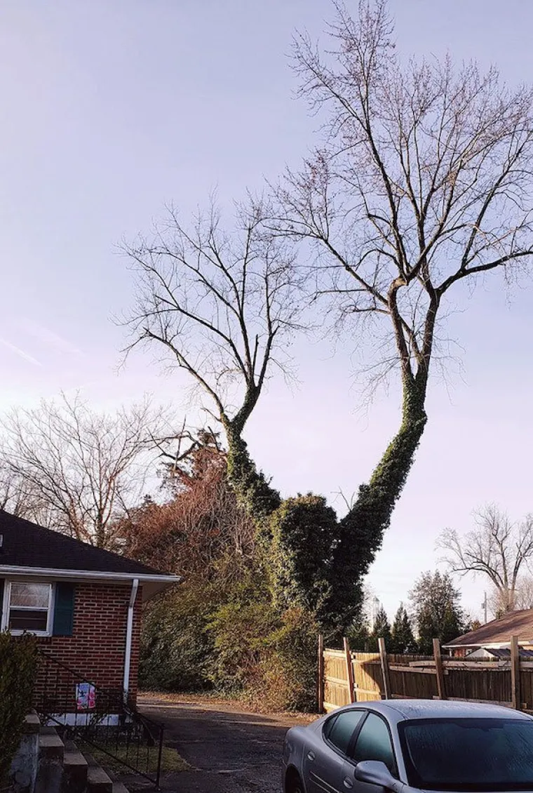 Dobro se zagledajte u ove fotke i pustite ma&scaron;ti na volju, nećete se razočarati