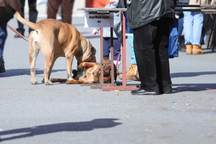 Sunce obasjalo Britanac