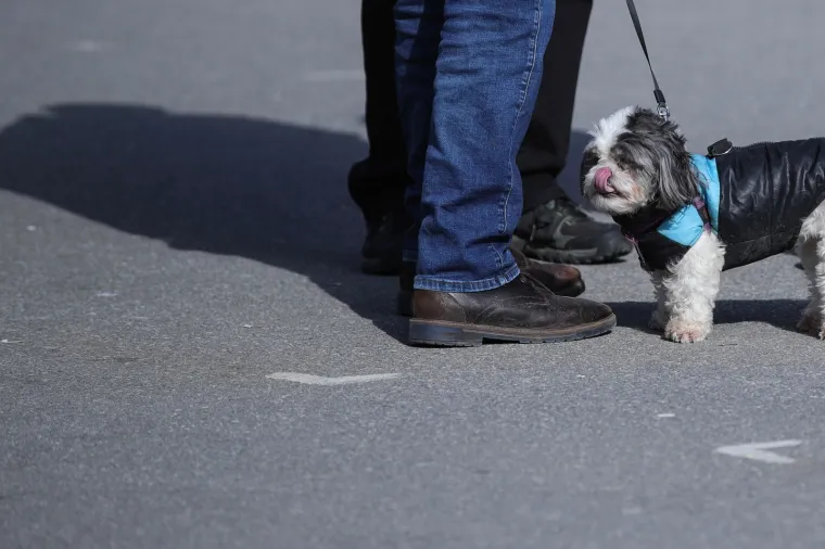 Sunce obasjalo Britanac