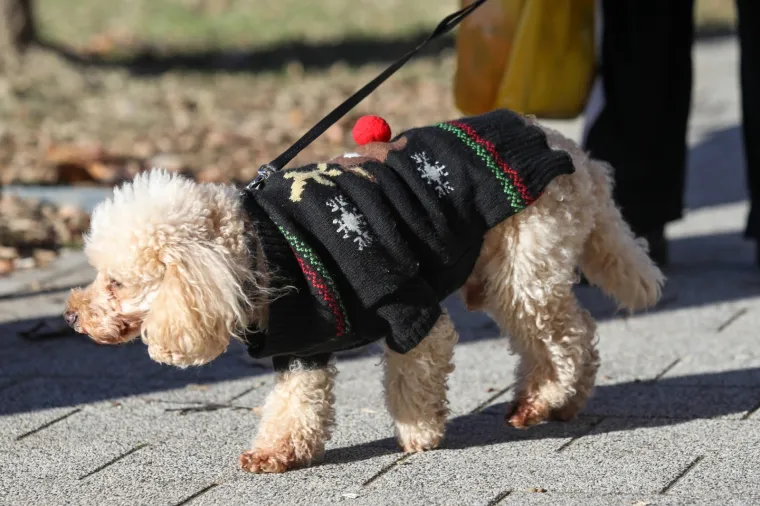 Ledeni val u hrvatskim gradovima: Temperature 'debelo' ispod ni&scaron;tice