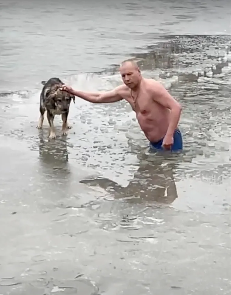Morao je puzati i laktovima probiti led da bi došao do psa, koji je "žalosno cvilio".