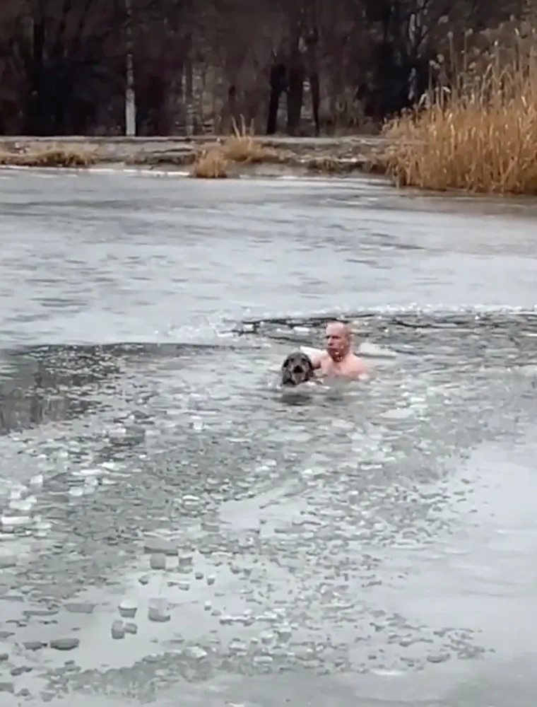 Yury Panfilkin (48), zagriženi zimski plivač, bez imalo muke je uskočio u ribnjak na niskim temperaturama kako bi spasio unesrećenog mješanca u selu Veselaya Balka u Volgogradskoj regiji.