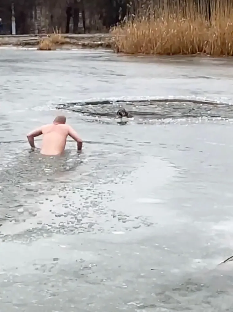 Skinuo se samo u gaćice kako bi lakše došao do prestrašenog lutalice koji se zaglavio u zaleđenom ribnjaku u Rusiji.