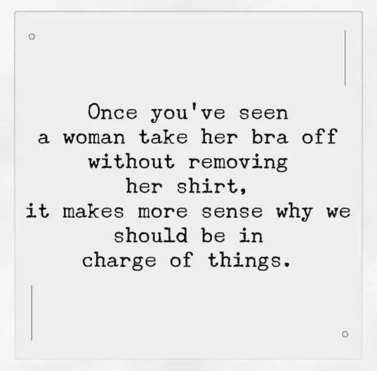 ŽENE SE ODLIČNO SPRDAJU NA VLASTITI RAČUN: Memovima objasnile za&scaron;to su velike grudi blagoslov, ali i prokletstvo