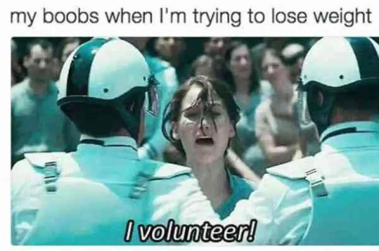 ŽENE SE ODLIČNO SPRDAJU NA VLASTITI RAČUN: Memovima objasnile za&scaron;to su velike grudi blagoslov, ali i prokletstvo