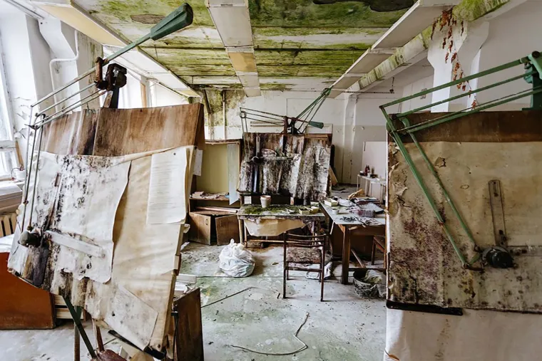 OVO NIJE NI FOTOŠOP NI NEČIJA ŠALA: Na cesti zatekao potpuno plave pse. Obojio ih je - kemijski otpad?!